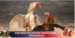 Step into the exciting arena at 89bet cockfighting 