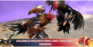 Valuable insights from long-time 89bet members 
