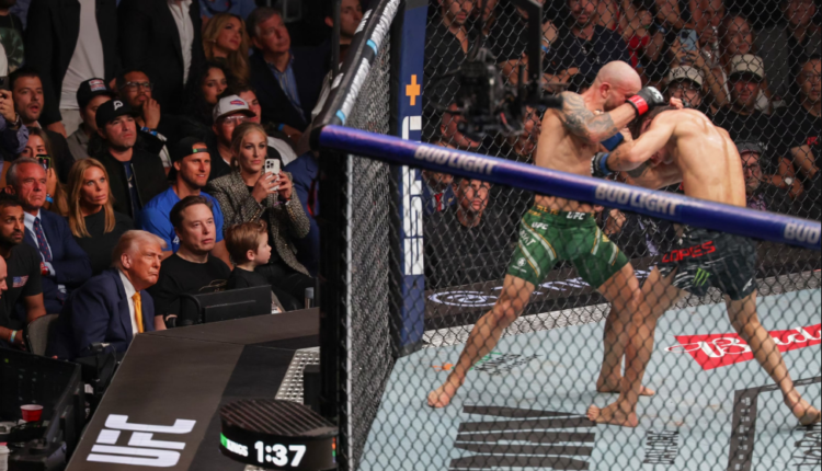 ultimate fighting championship